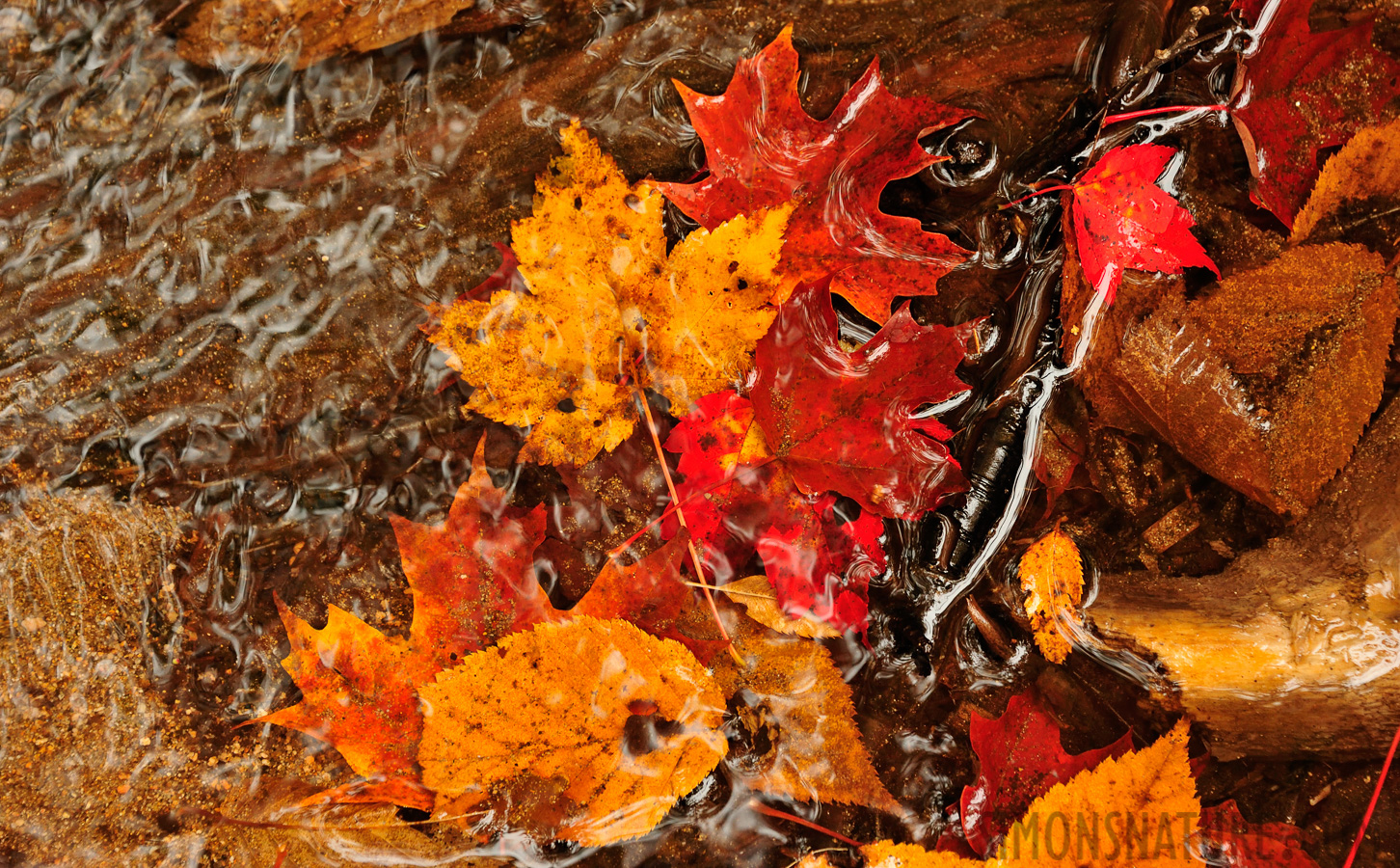 Jericho Mountain State Park [170 mm, 1/125 Sek. bei f / 8.0, ISO 1600]